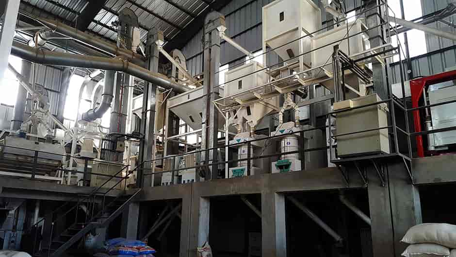 Selección electrónica del grano